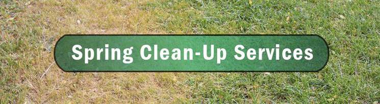 Spring Cleaning Services