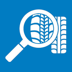 Tire Inspecaion