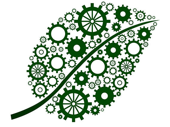 Brandon Collision is a Green Business